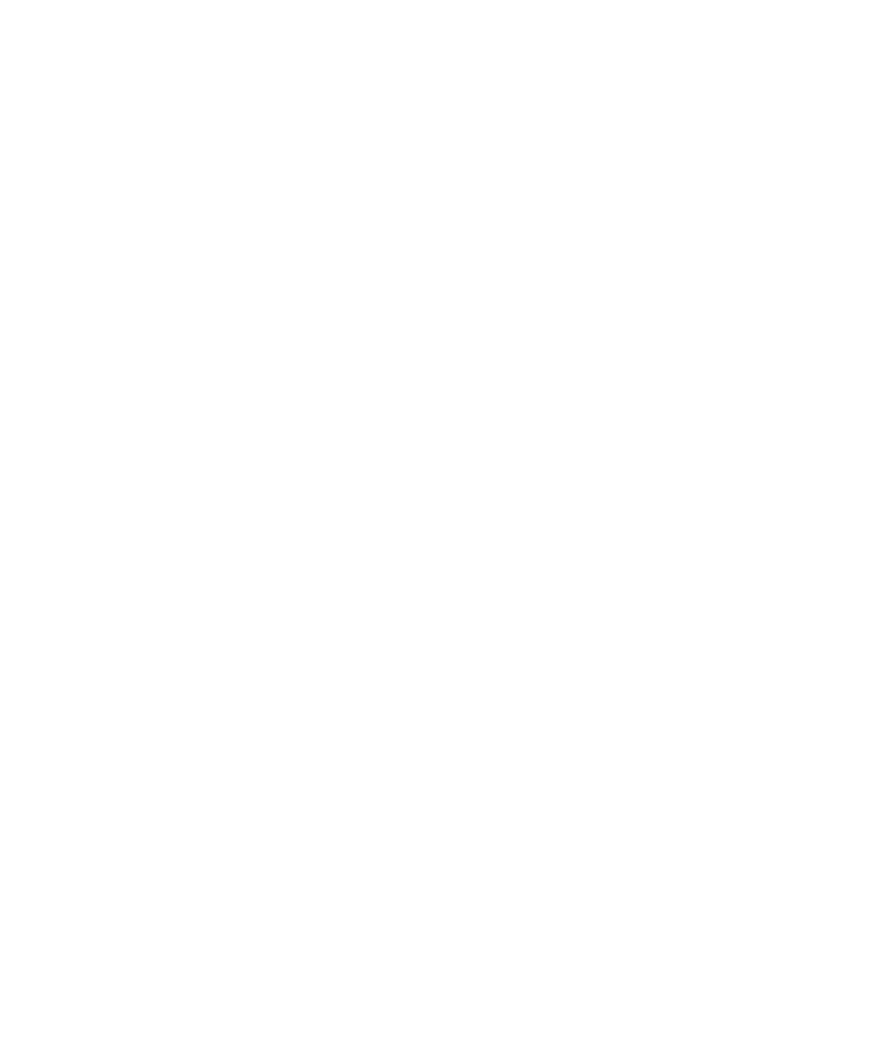 csets_logo_bila